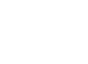Email icon in white