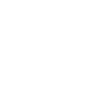 Location icon in white