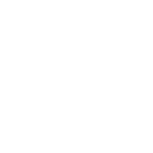 Telephone icon in white